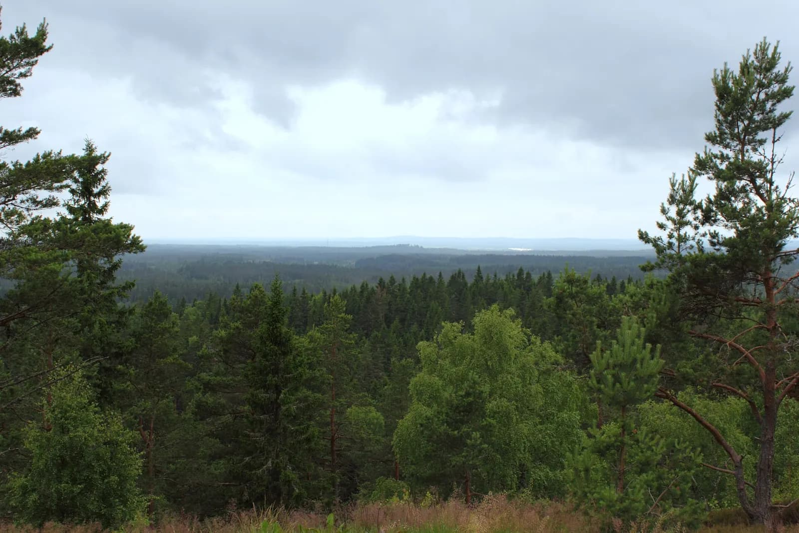 Skuruhatt